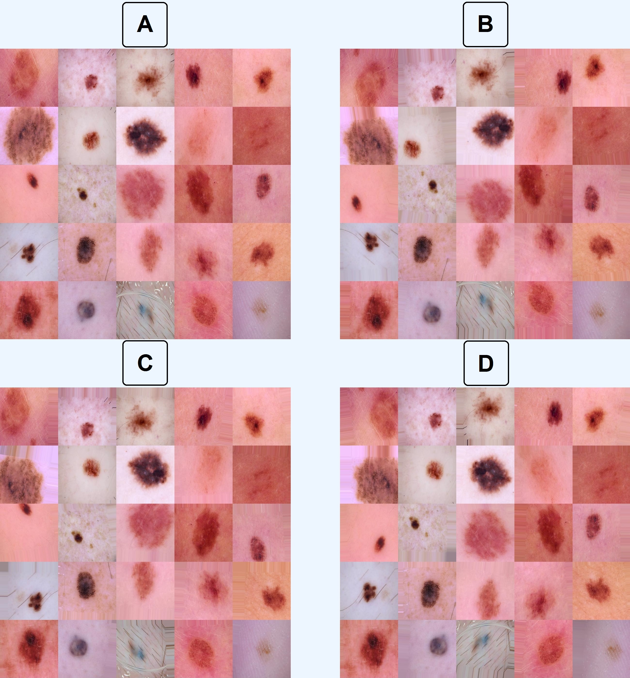 Cover image for Fig 1